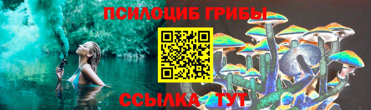 Можга  Галлюциногенные грибы GOLDEN TEACHER  Вход с VPN 