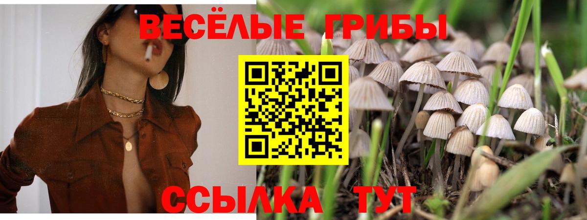 Псилоцибиновые грибы MAGIC MUSHROOMS Можга